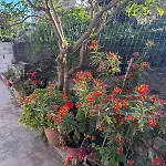 Ml Apartment Saranda